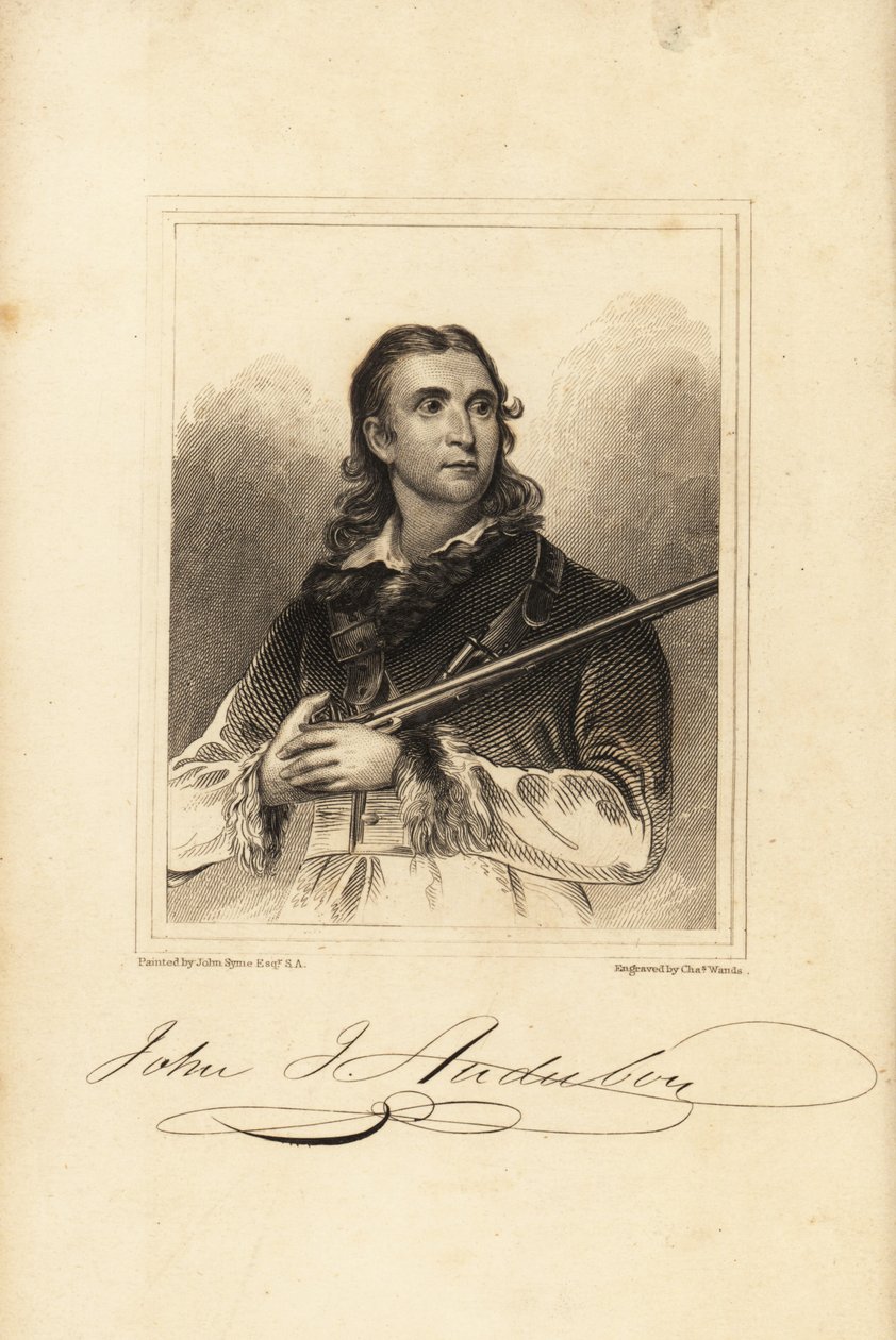 John James Audubon, Amerikalı kuşbilimci, doğa bilimci ve ressam by Unbekannt