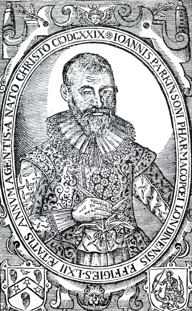 John Parkinson. by Unbekannt