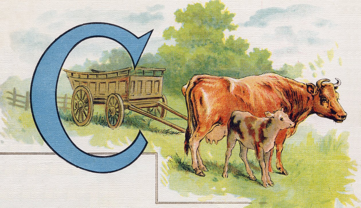 C Harfi: Taşıma. "ABC L