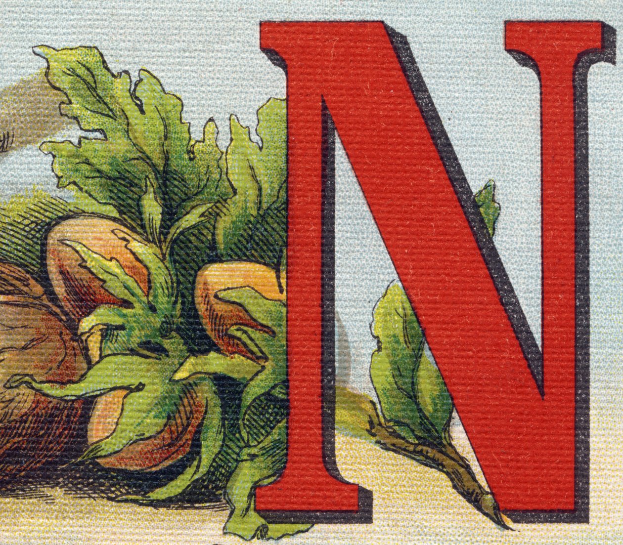 N harfi: fındık. "Alphabet de ma petite fille" gravürü. Bernardin-Bechet ve Fils, kitapçı-yayıncılar, Paris, 1895 civarı. Tuval üzerine kırılmaz albüm. Bibliotheque des Bebes. 12 sayfa. Bir okuma yöntemi ve açıklayıcı bir abec içeren albüm by Unbekannt