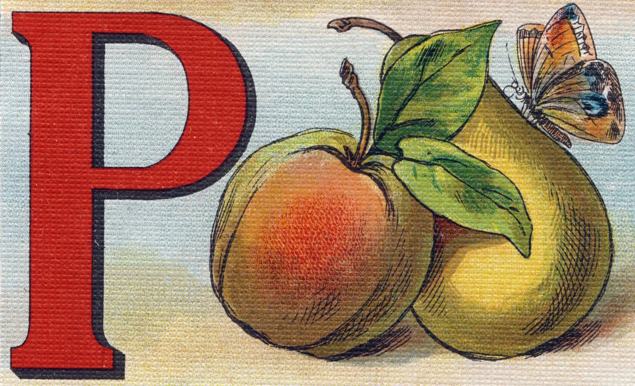 Şeftali, armut ve kelebek olarak P harfi. "Alphabet de ma petite fille" gravürü. Bernardin-Bechet ve Fils, kitapçı-yayıncılar, Paris, 1895 civarı. Tuval üzerine kırılmaz albüm. Bibliotheque des Bebes. 12 sayfa. Bir okuma yöntemi ve bir by Unbekannt