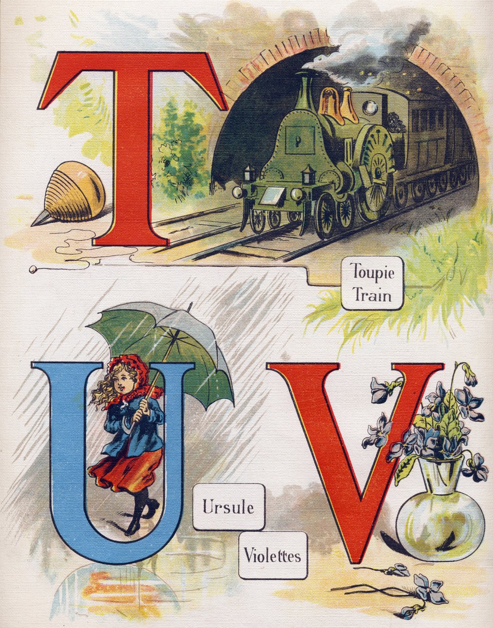 T, U ve V harfi: üst, tren, ursula ve menekşe. "ABC L