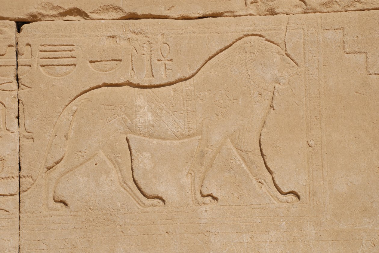 Aslan oymacılığı, Karnak, Luksor, Mısır (fotoğraf) by Unbekannt