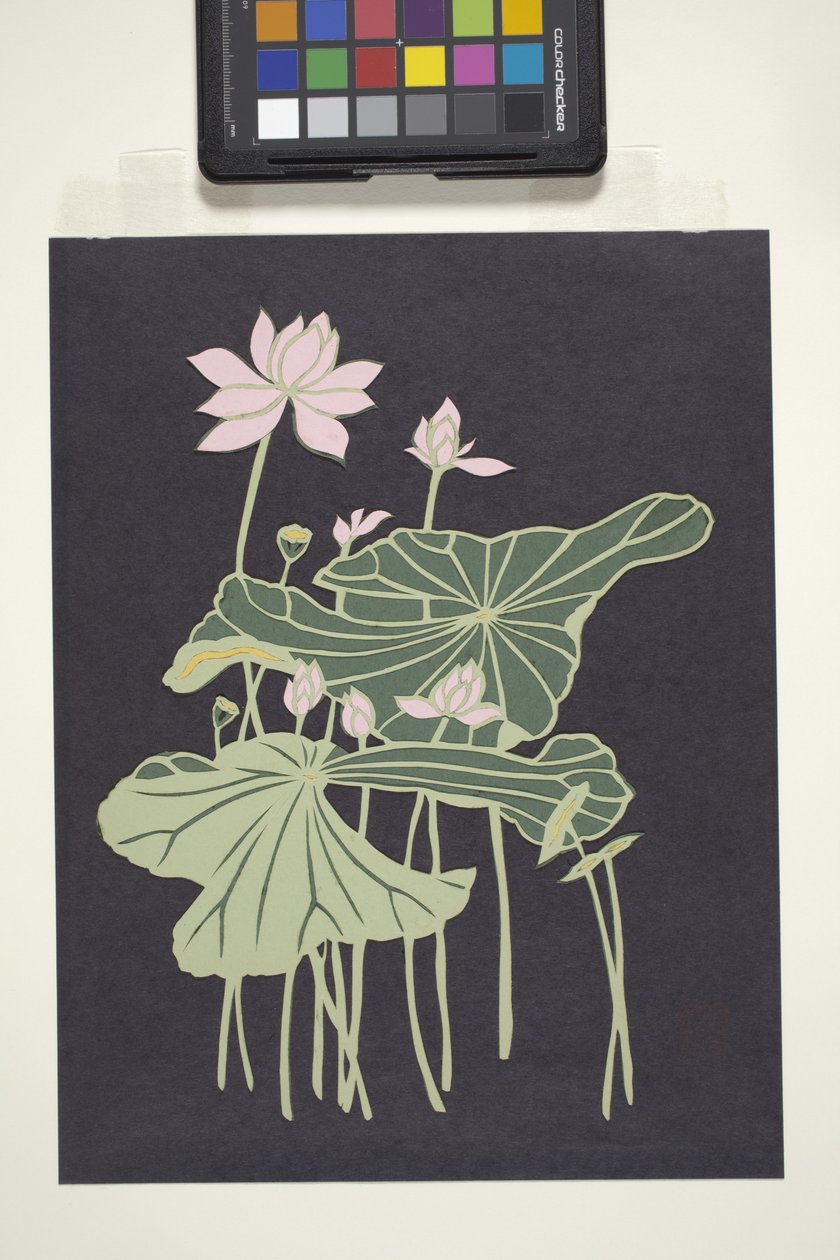Lotus (çok renkli kesilmiş kağıt) by Unbekannter Künstler