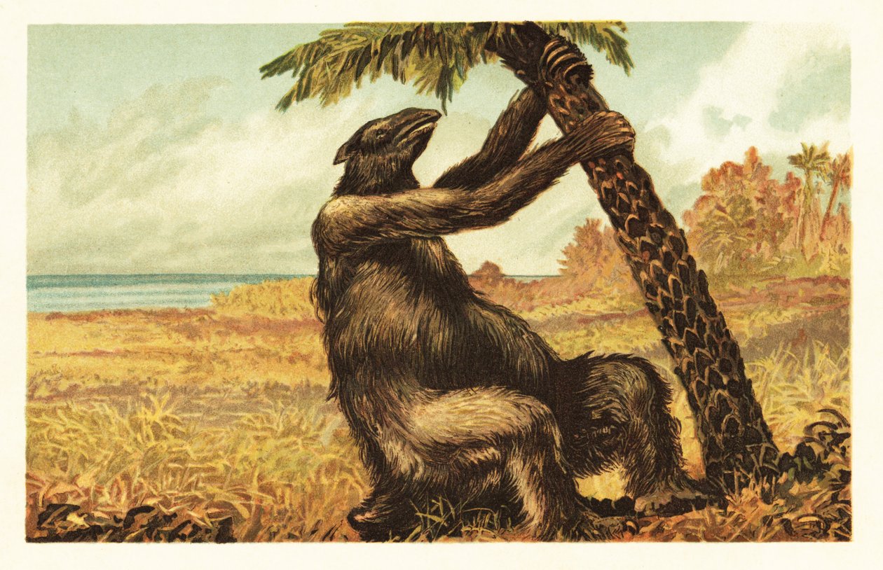 Megatherium americanum bir palmiye ağacını çekiyor.1908 (litografi) by Unbekannter Künstler