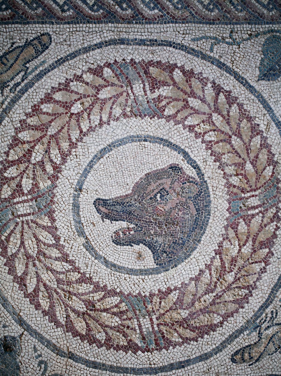 Peristil mozaiği. Bir ayının kafasını temsil eden detay. 3. - 4. yüzyıl. Casale, Sicilya'daki Roma Villası. UNESCO Sitesi. by William M. Timlin