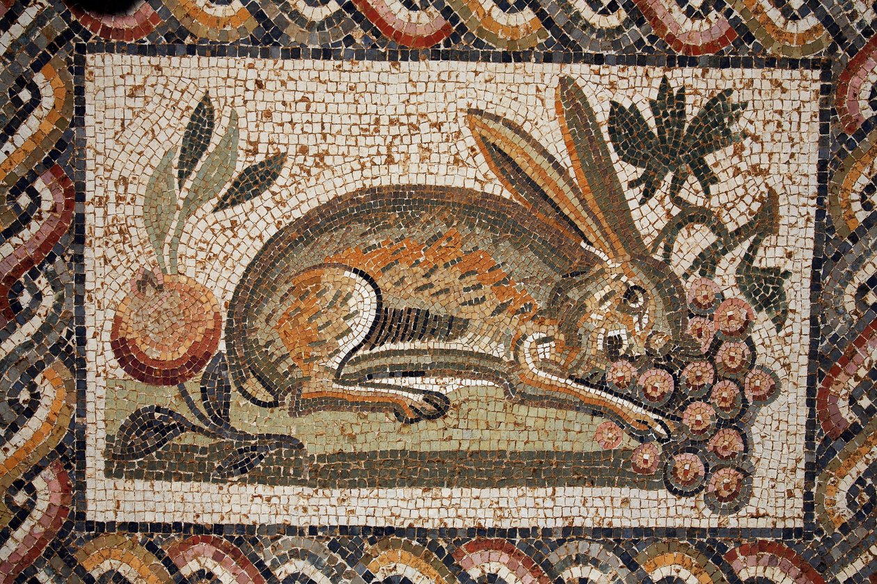 Bir salkım üzüm otlayan casus bakışlı bir tavşanı temsil eden mozaik (MS 2. yüzyılın 2. yarısı)/in situ a El Jem (Antique Thysdrus)/Tunus by Unbekannt