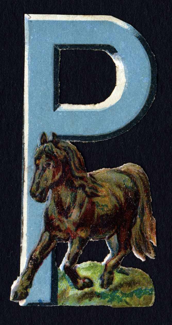 P, Pony gibi. Hayvanlar konulu böcek oymacılığı. Oymak. İngiliz menşeili 26 waffle kromolitograf serisi. Editör ve illüstratör bilinmiyor. 19. yüzyılın sonu. Karartma: 5,5x3,5cm by Unbekannt