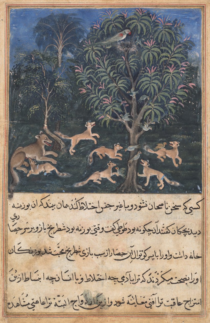 Bir Papağan Masallarından (Tuti-nama) sayfa: Beşinci gece: Anne papağan yavrusunu tilkilerle oynama tehlikesine karşı uyarır, c. 1560 (kağıt üzerine opak sulu boya, altın ve mürekkep) by Unbekannt