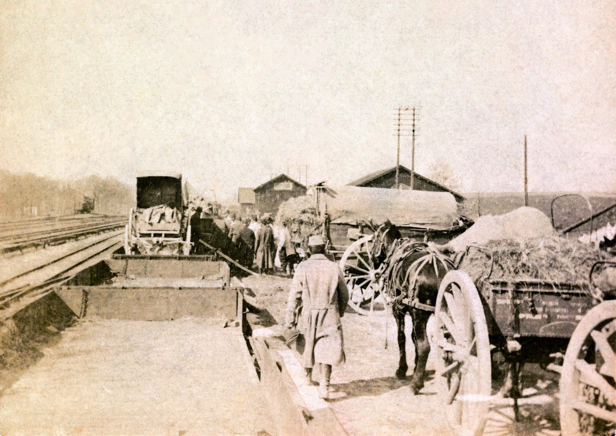 Birinci Dünya Savaşı