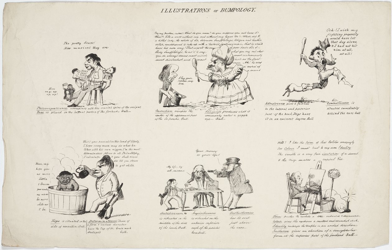 Phrenology 