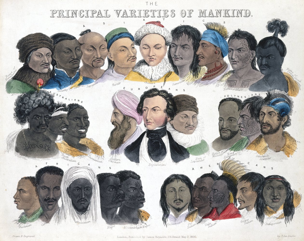 Fizyonomi 'İnsanlığın Temel Çeşitleri', 3 Mayıs 1850 by Unbekannt
