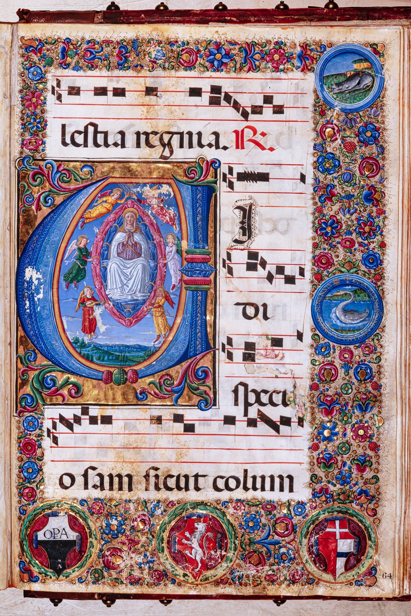 Piccolomini Kütüphanesi: koro kitabı, morina. 15.Q., ff. Guidoccio Cozzarelli ve Bernardino Cignoni tarafından “Bakirenin Varsayımı” ile 64r. by Unbekannter Künstler