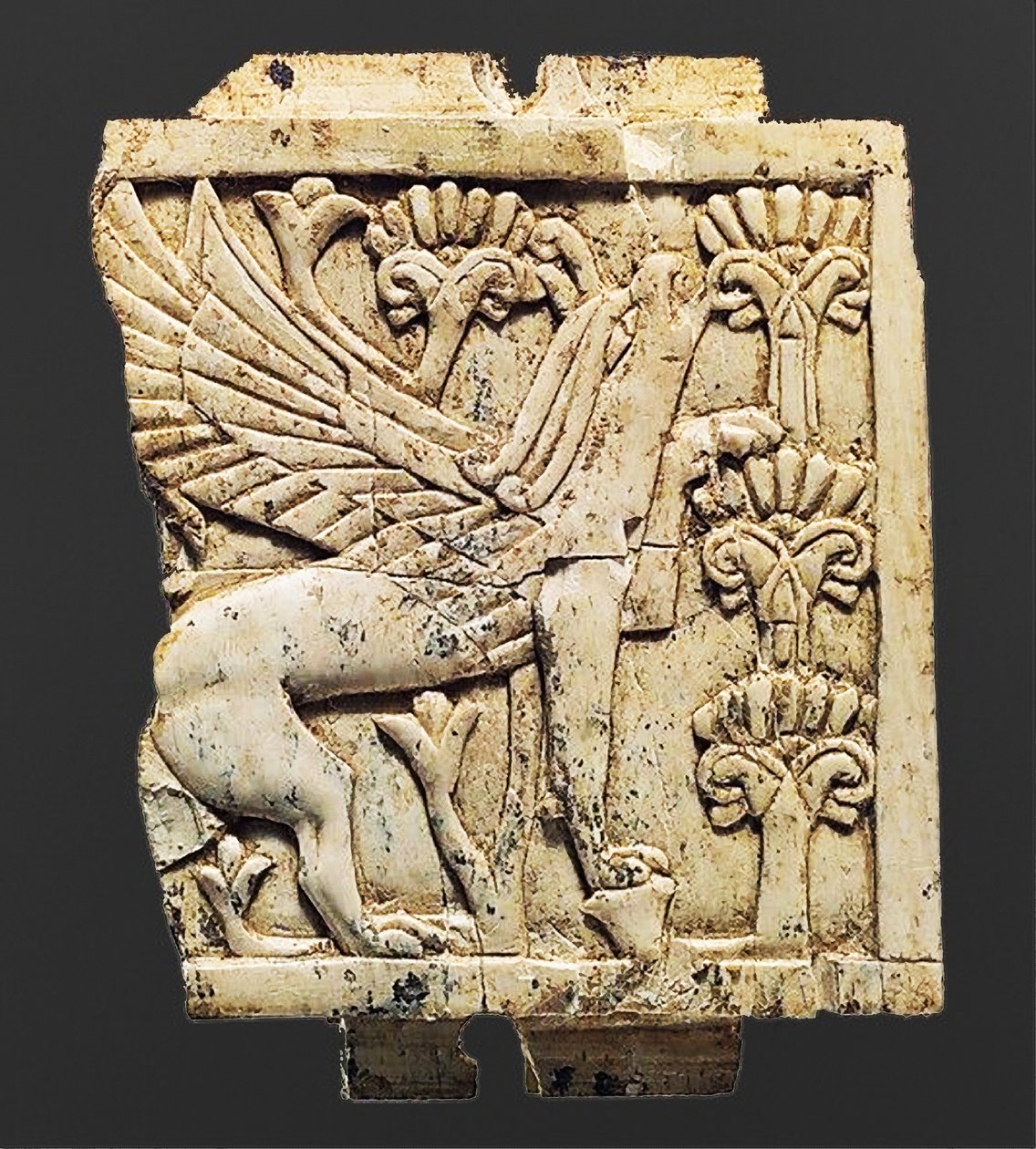 Bir Griffin, Nimrud, Mezopotamya, MÖ 8-7. yy