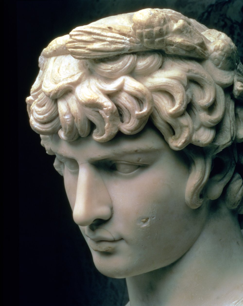 Antinous
