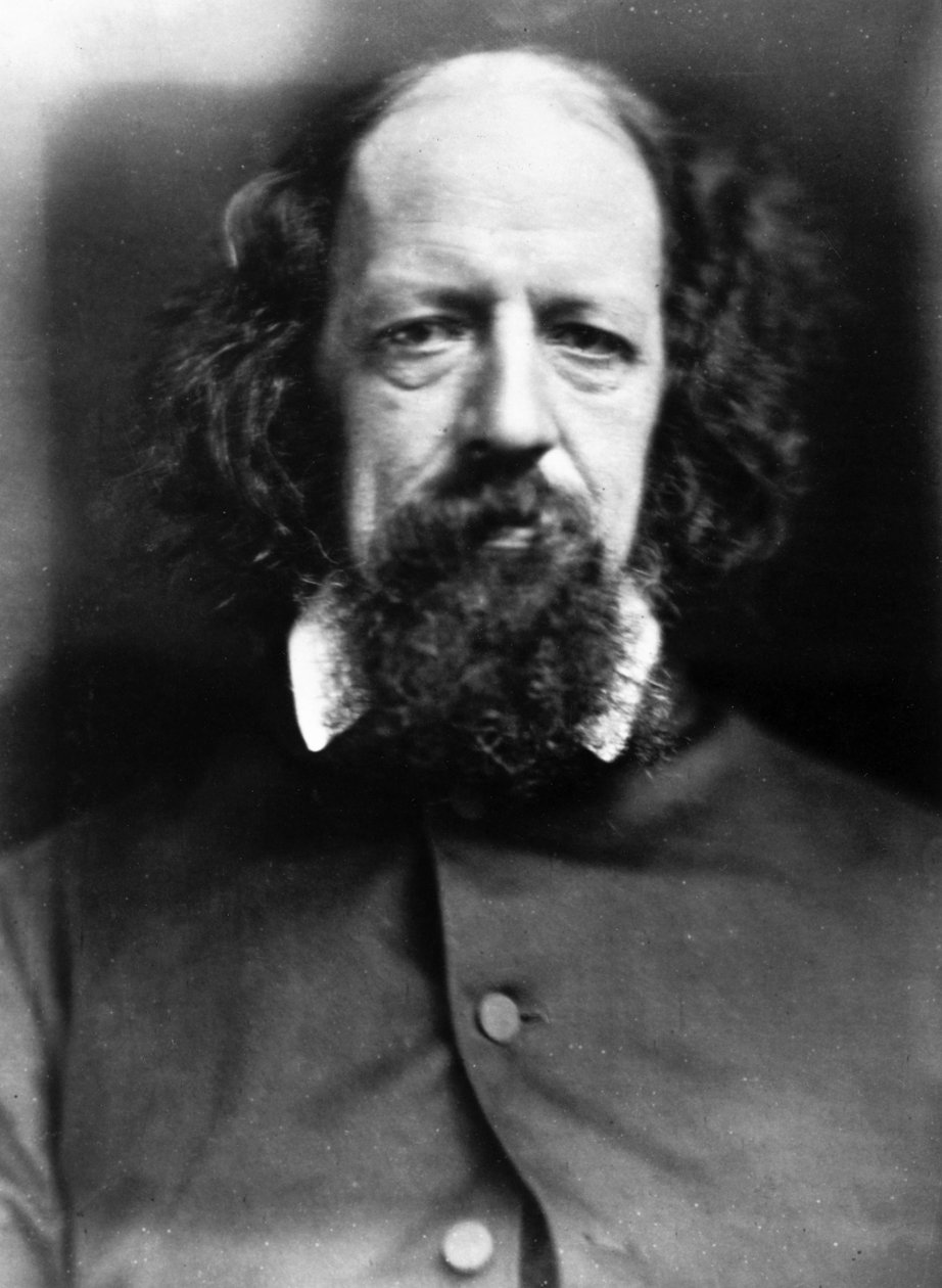 Alfred Tennyson'ın Portresi, 1867 dolayları by Unbekannt