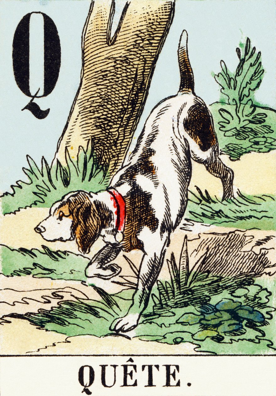 S : Quete - Av Alfabesi, 1890 dolayları (gravür) by Unbekannt