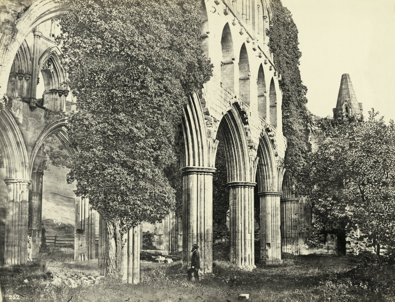Rievaulx Abbey, Kuzey Yorkshire, Birleşik Krallık (s/b fotoğraf) by Unbekannter Künstler