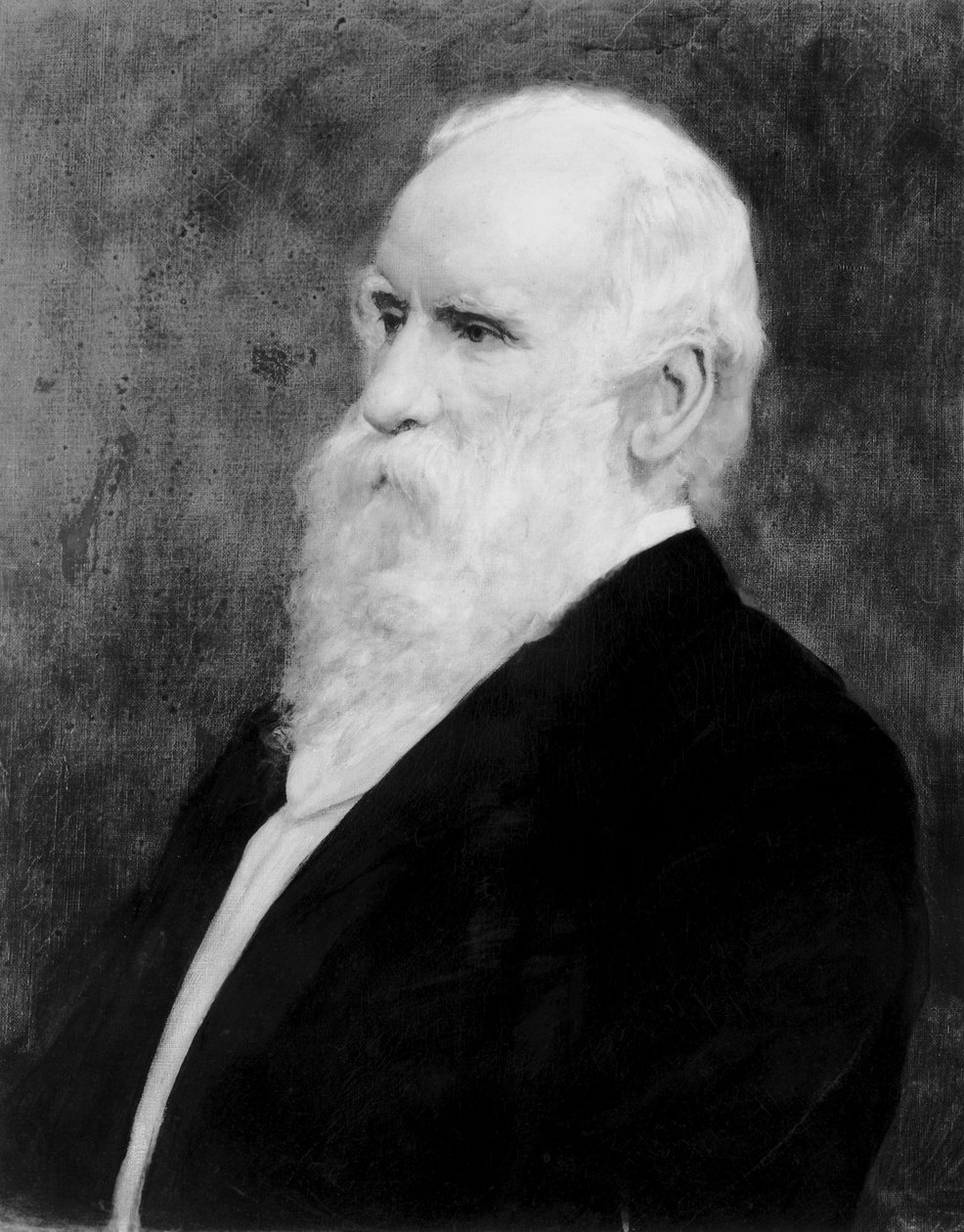 Robert Stirling Newall, İngiliz mühendis ve astronom, 1875 dolayları by Unbekannt
