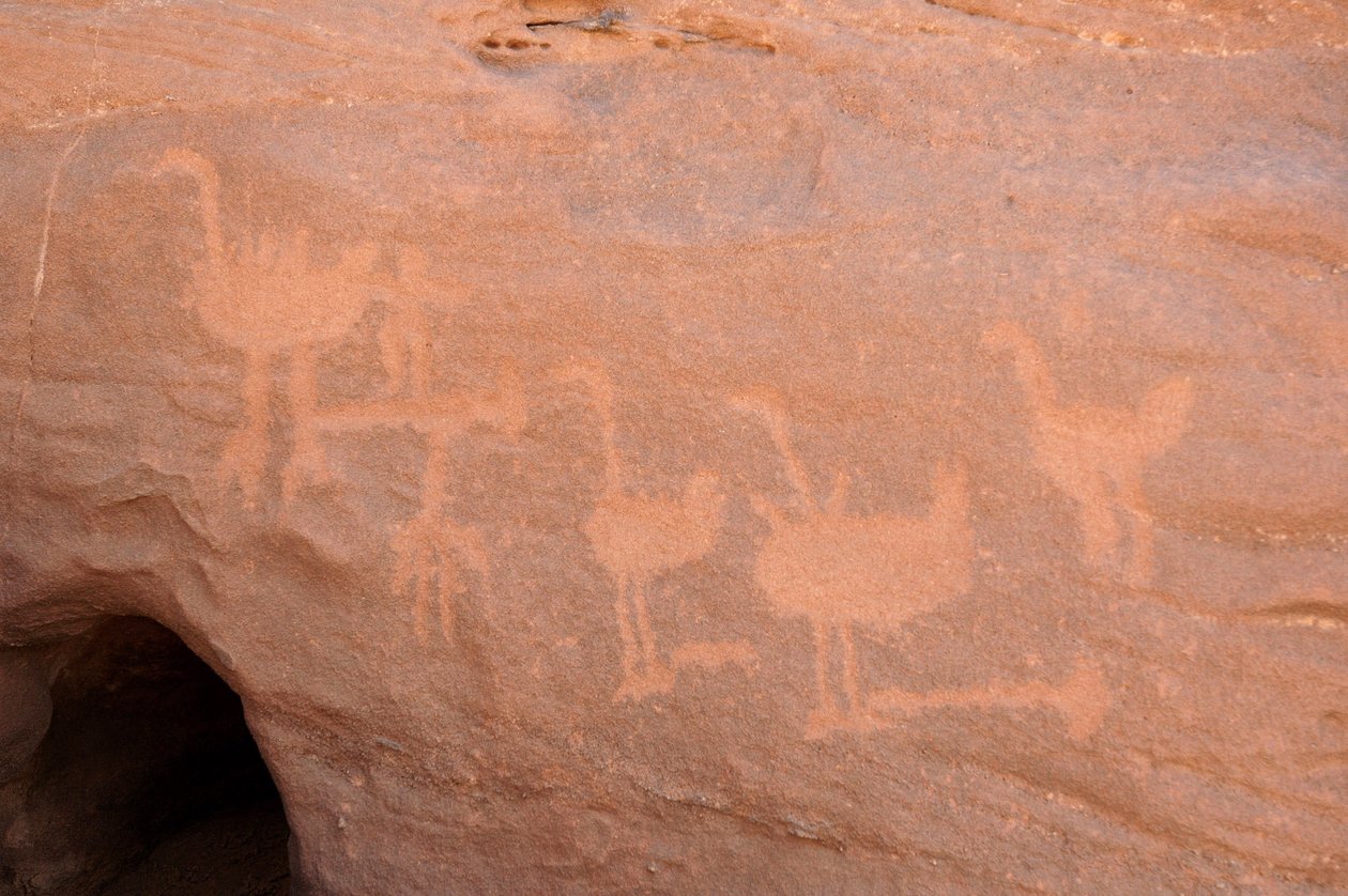 Kaya sanatı, Tarih Öncesi: Bazıları engellenmiş (bir engel taşıyla sıkıştırılmış) bir grup devekuşunun ve Uweinat masifinde, Sudan