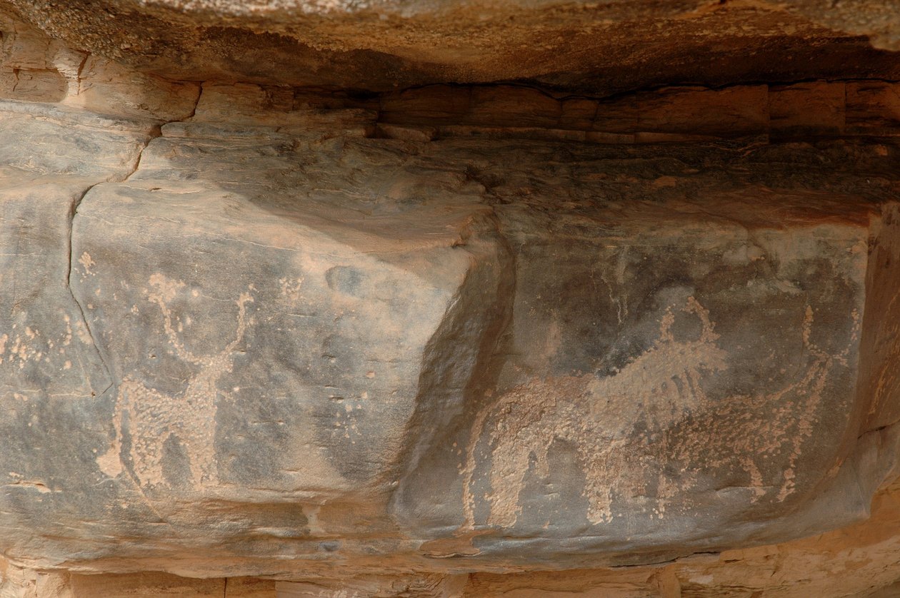 Kaya sanatı, Tarih Öncesi: Uweinat masifinde üç sığırın gravürü, Sudan (Karkur-Talh veya Karkur Talh). MÖ 8000 ila 3000 yıl arası dönem. fotoğrafçılık by Unbekannt