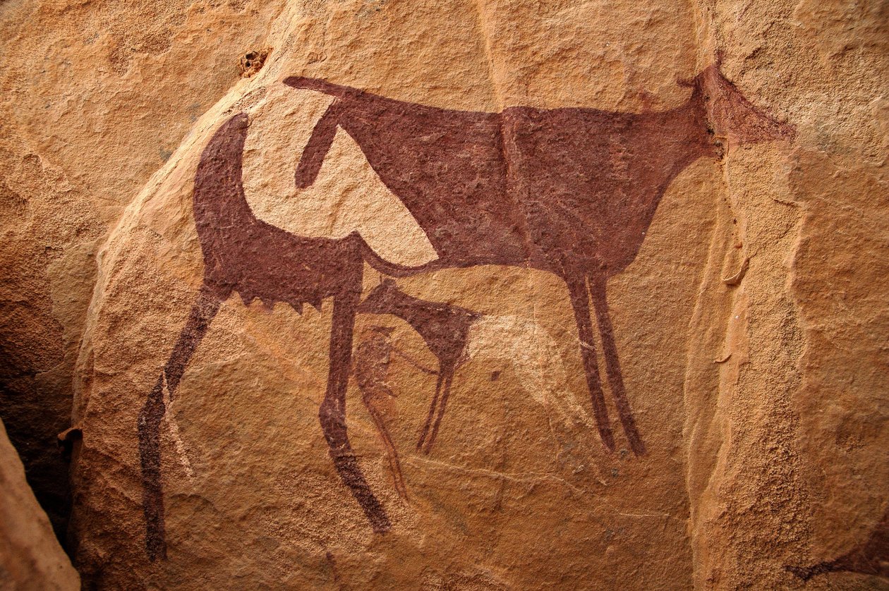 Kaya sanatı, Tarih Öncesi: Sudan, Uweinat masifinde süslü bir barınakta iki tonlu büyük bir ineğin ve buzağının kaya resmi. MÖ 8000 ila 3000 yıl arası dönem. fotoğrafçılık by Unbekannt