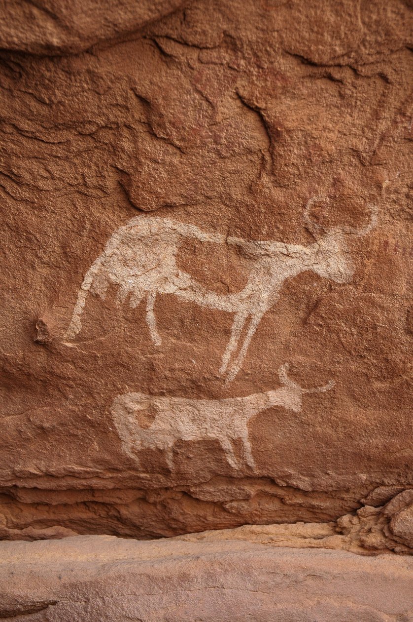Kaya sanatı, Tarih Öncesi: Sudan