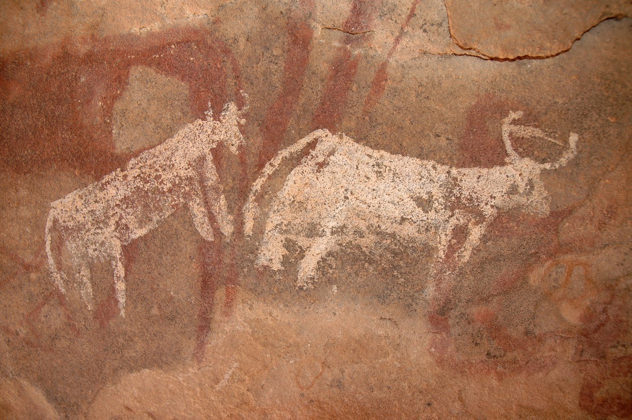 Kaya sanatı, Tarih Öncesi: Sudan