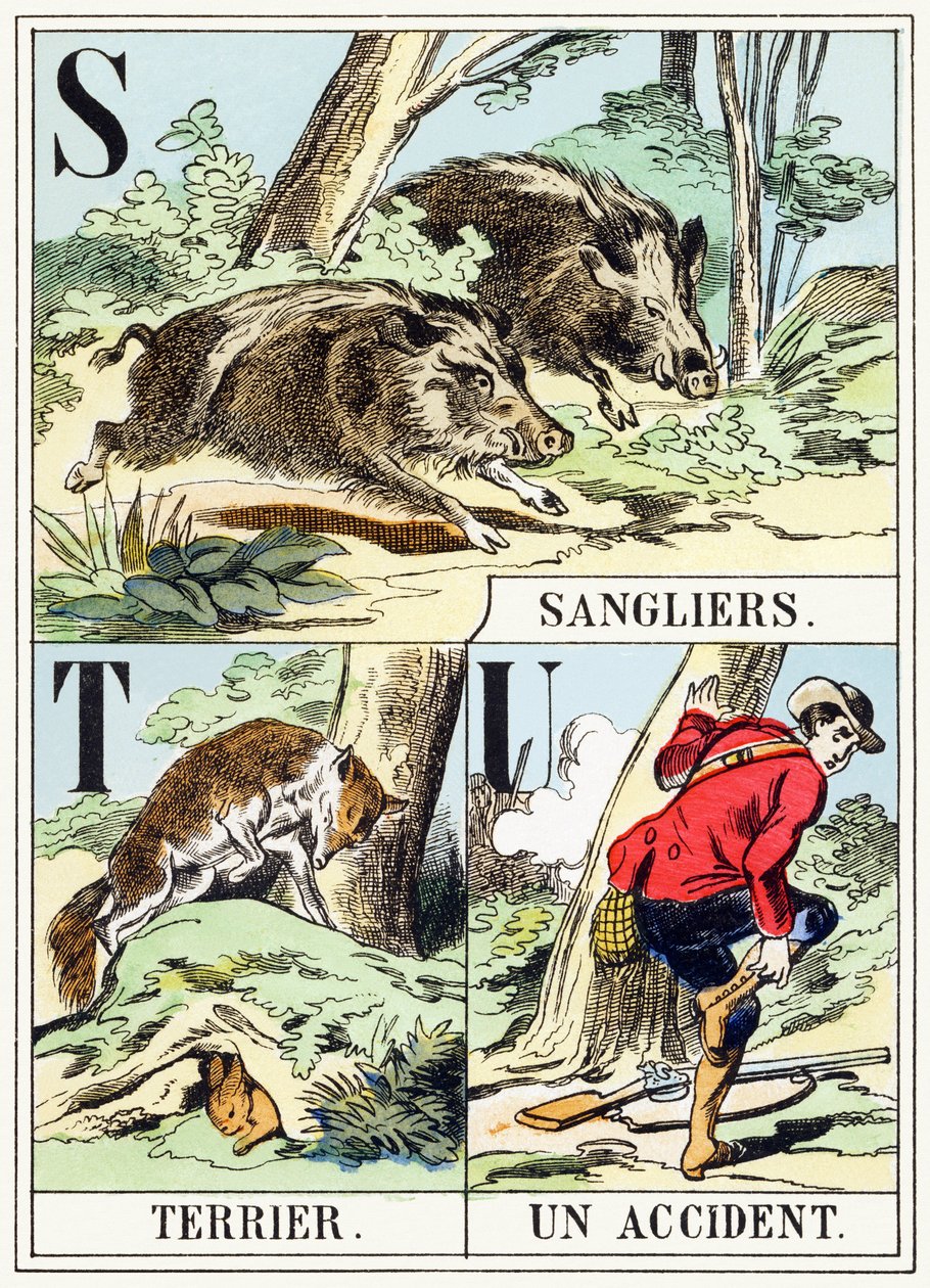 S T U : Sanglier, Terrier, Un kaza - Av Alfabesi, c.1890 (gravür) by Unbekannt