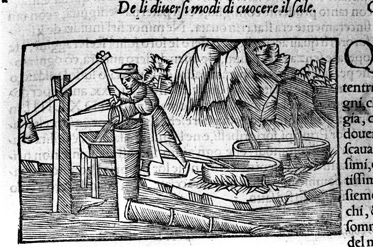 Tuz üretimi: pişirme. Olaus Magnus (1490 - 1557), İsveçli dindar ve coğrafyacı tarafından gravür, "Kuzey Ulusunun Tarihi", Venedik by Unbekannt