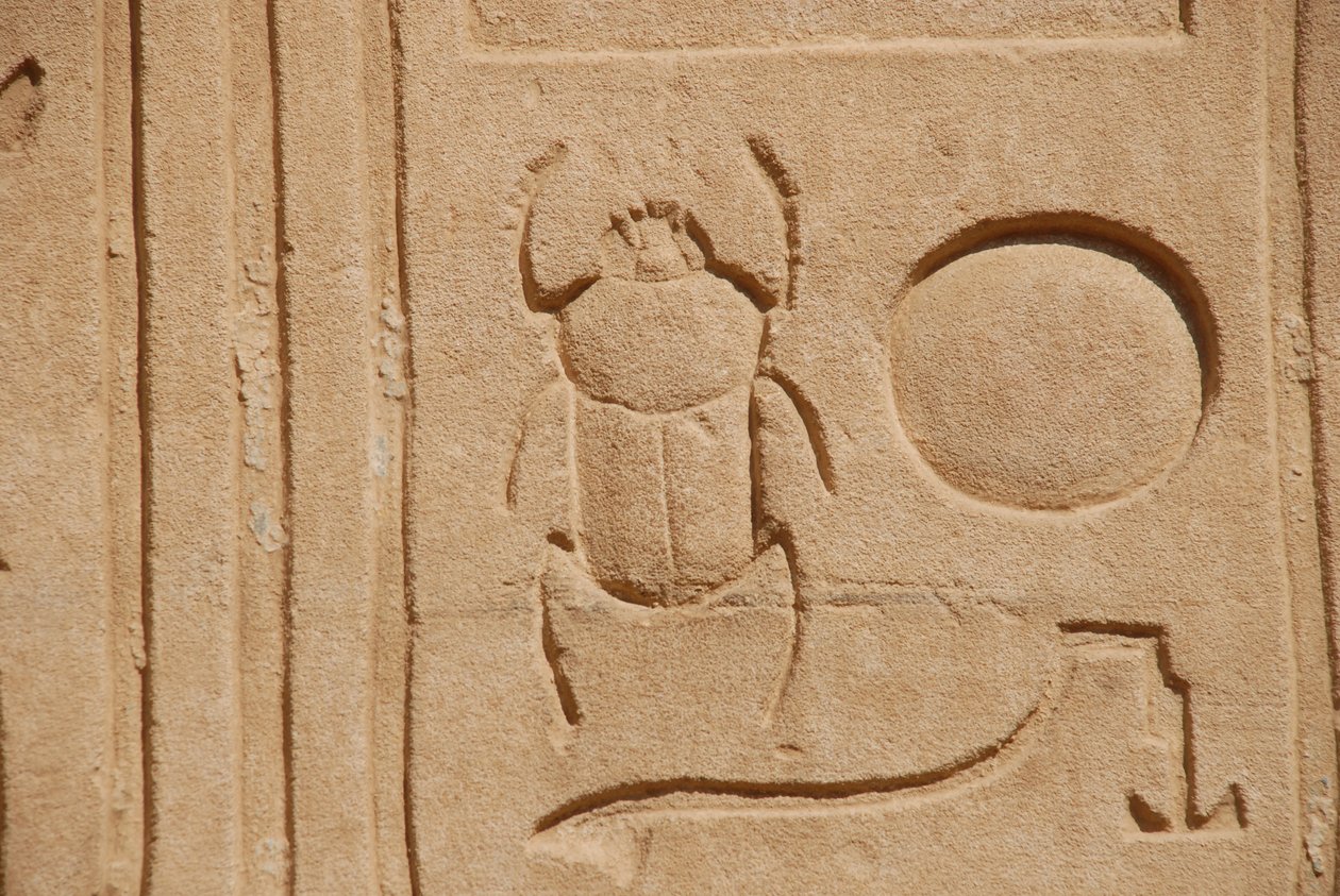 Bokböceği Böceği, Karnak, Luksor, Mısır (fotoğraf) by Unbekannt