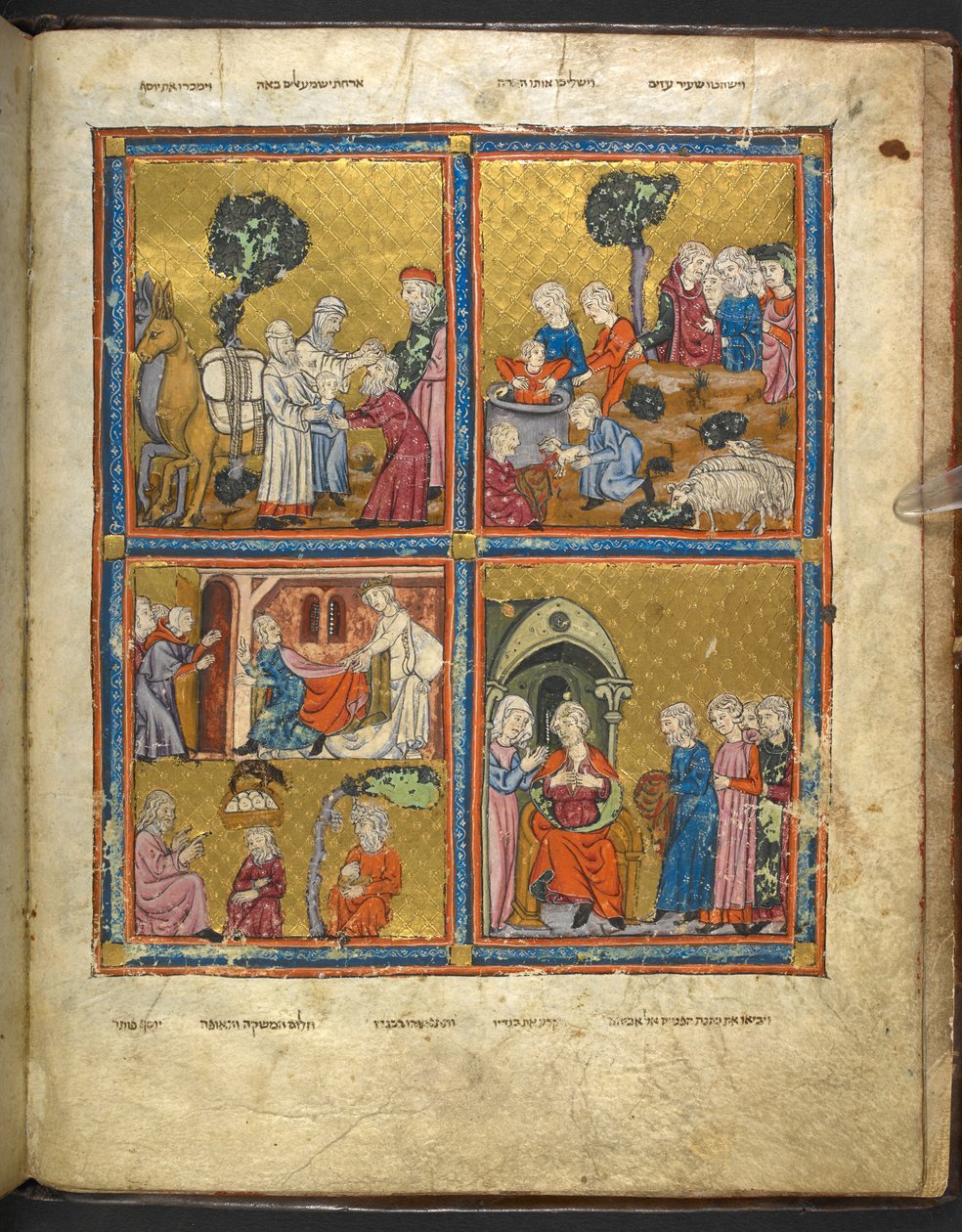 Fısıh Bayramı için Haggadah'tan ('Altın Haggadah'') Joseph'in hayatından sahneler, Bölüm 1, 14. yüzyılın 2. çeyreği by Unbekannter Künstler