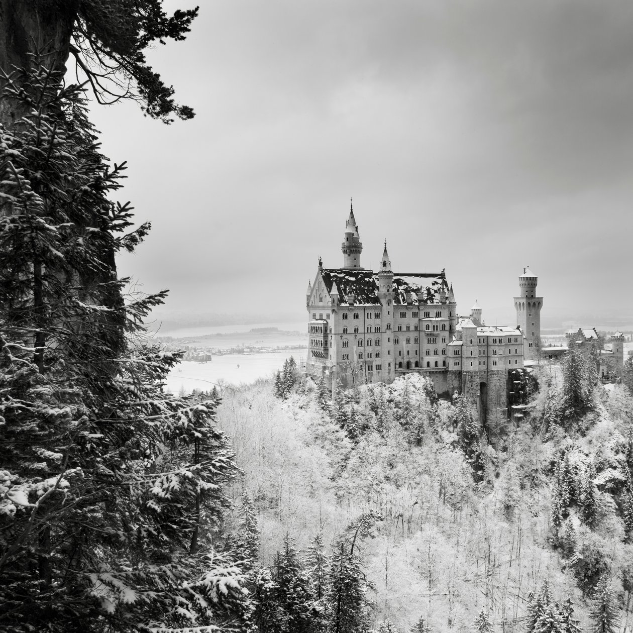 Neuschwanstein Şatosu, Füssen, Almanya, 2013 (s/b fotoğraf) by Leopold Blonder