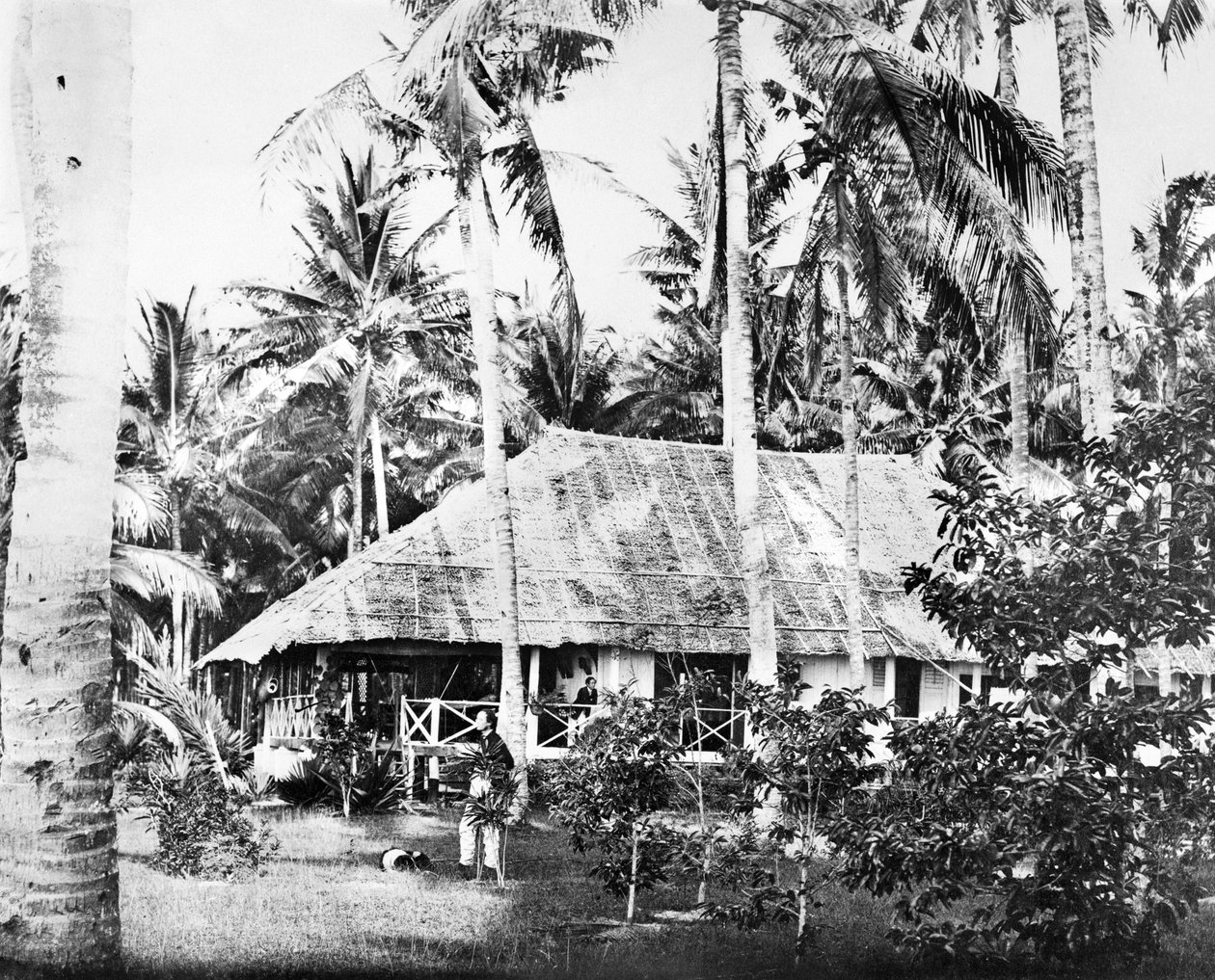 Singapur : Palmiye Ağaçlarıyla çevrili Özel Bir Bungalov. Singapur, c1875 by Unbekannt