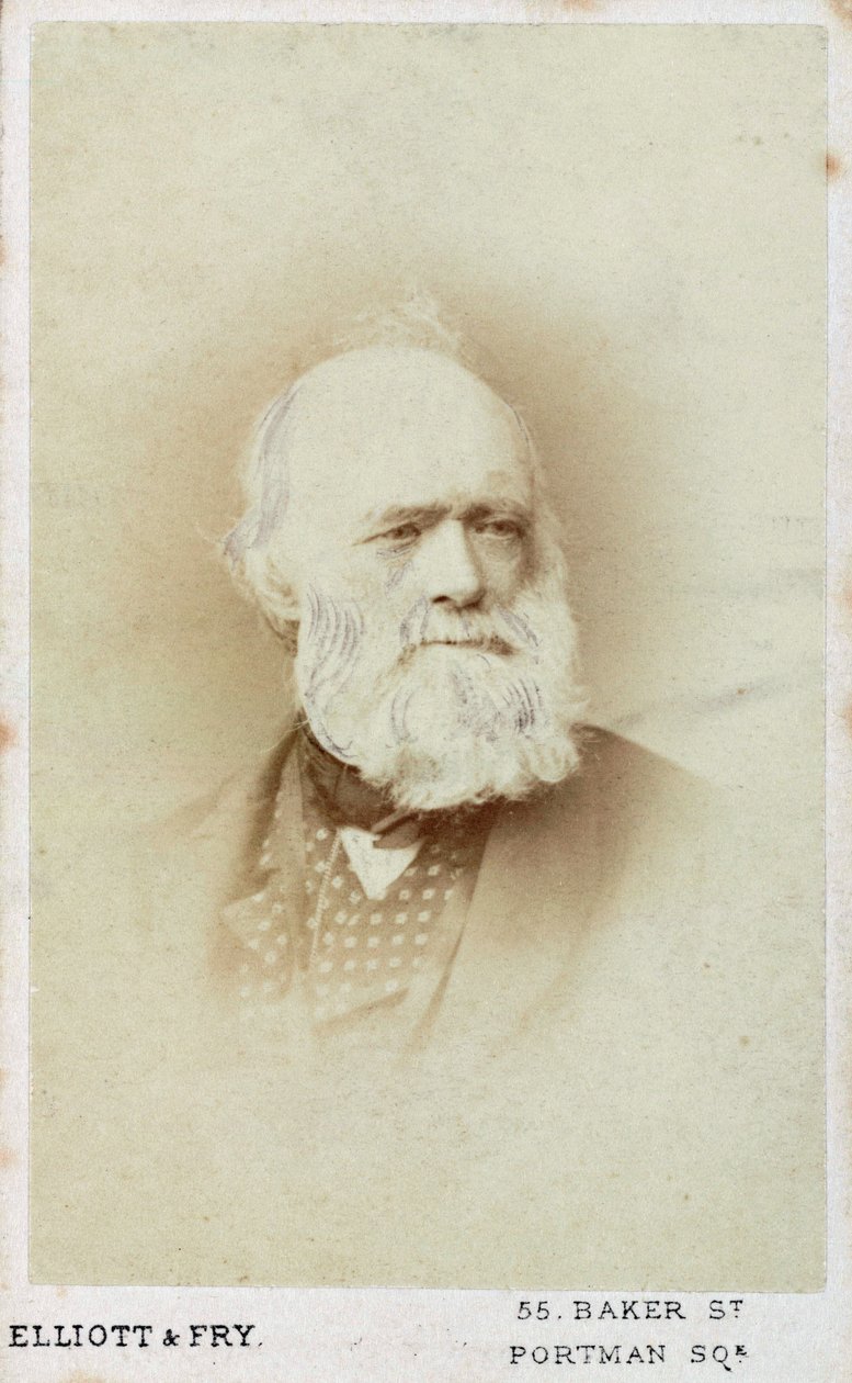 Sir Charles Lyell, İngiliz jeolog, c1865-1875 by Unbekannt