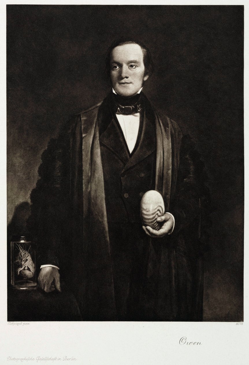 Sir Richard Owen, İngiliz doğa bilimci ve paleontolog, c 1845 by Unbekannt