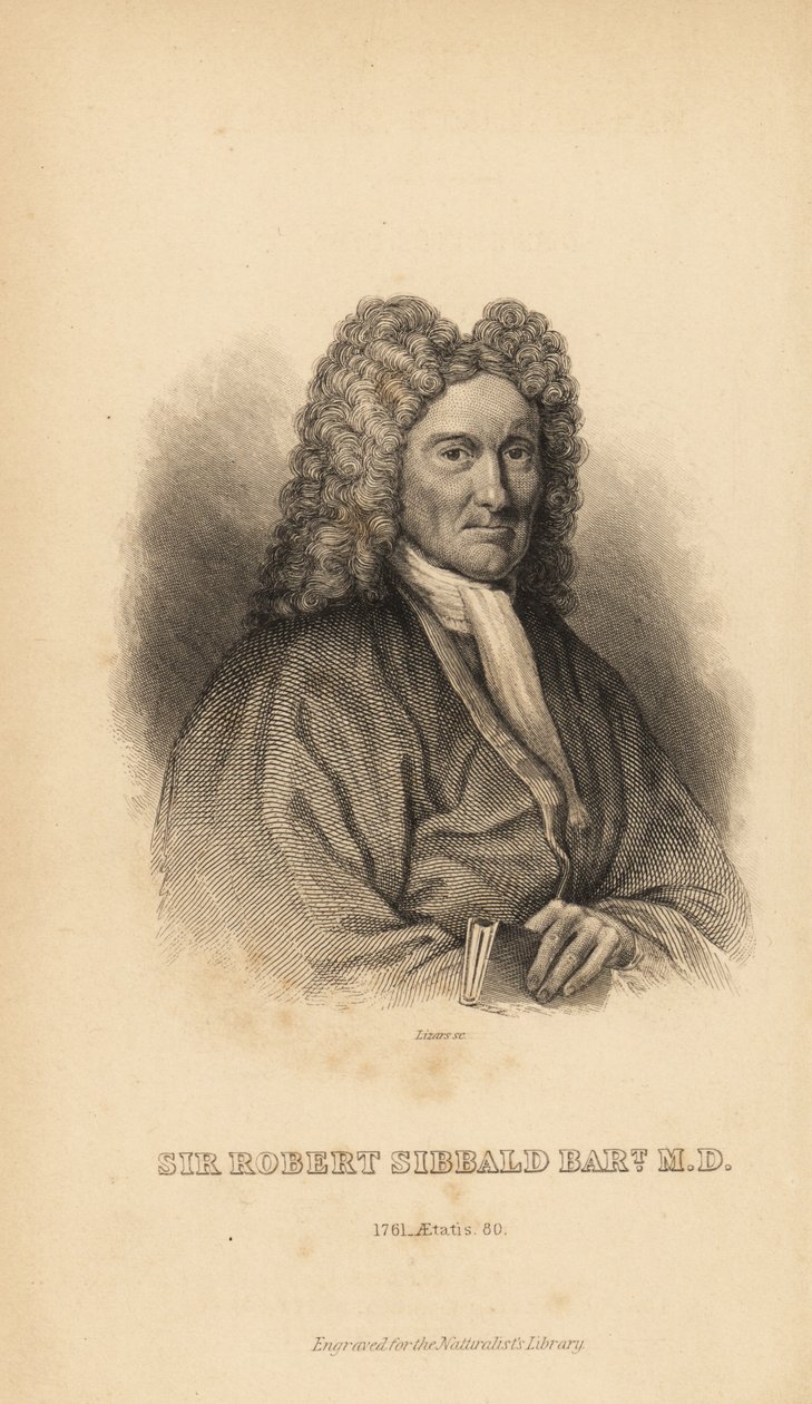 Sir Robert Sibbald, İskoç doğa bilimci ve antikacı by Unbekannt