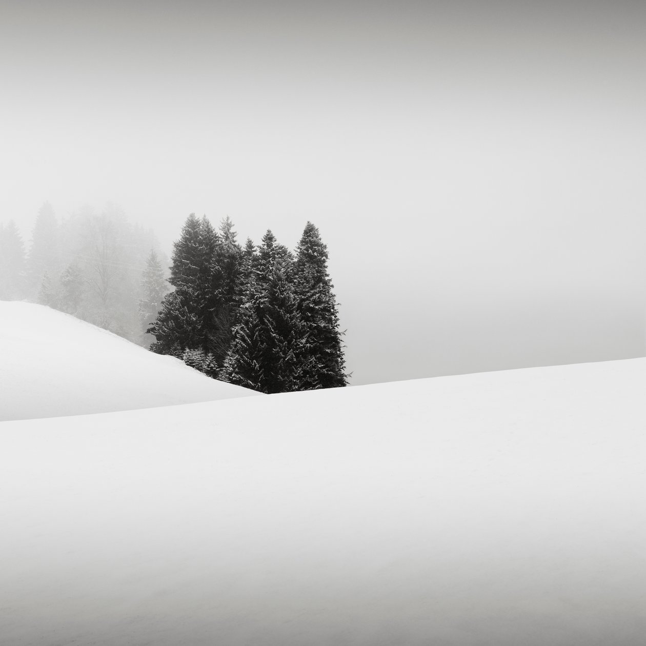 Snowytales Oasis, Bavyera, Almanya, 2013 (s/b fotoğraf) by Leopold Blonder