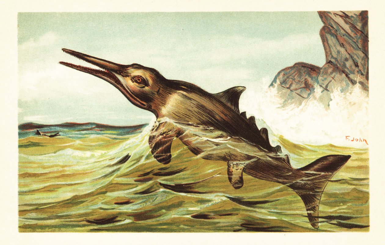 Stenopterygius quadriscissus, soyu tükenmiş ichthyosaur.1908 (litografi) by Unbekannter Künstler