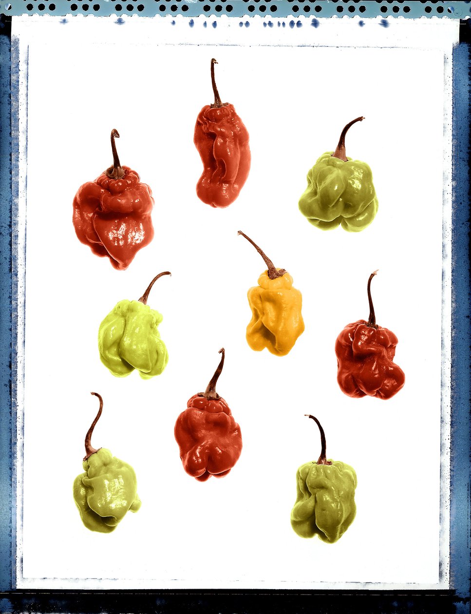 Natürmort sarı, kırmızı ve yeşil biber by Unbekannt