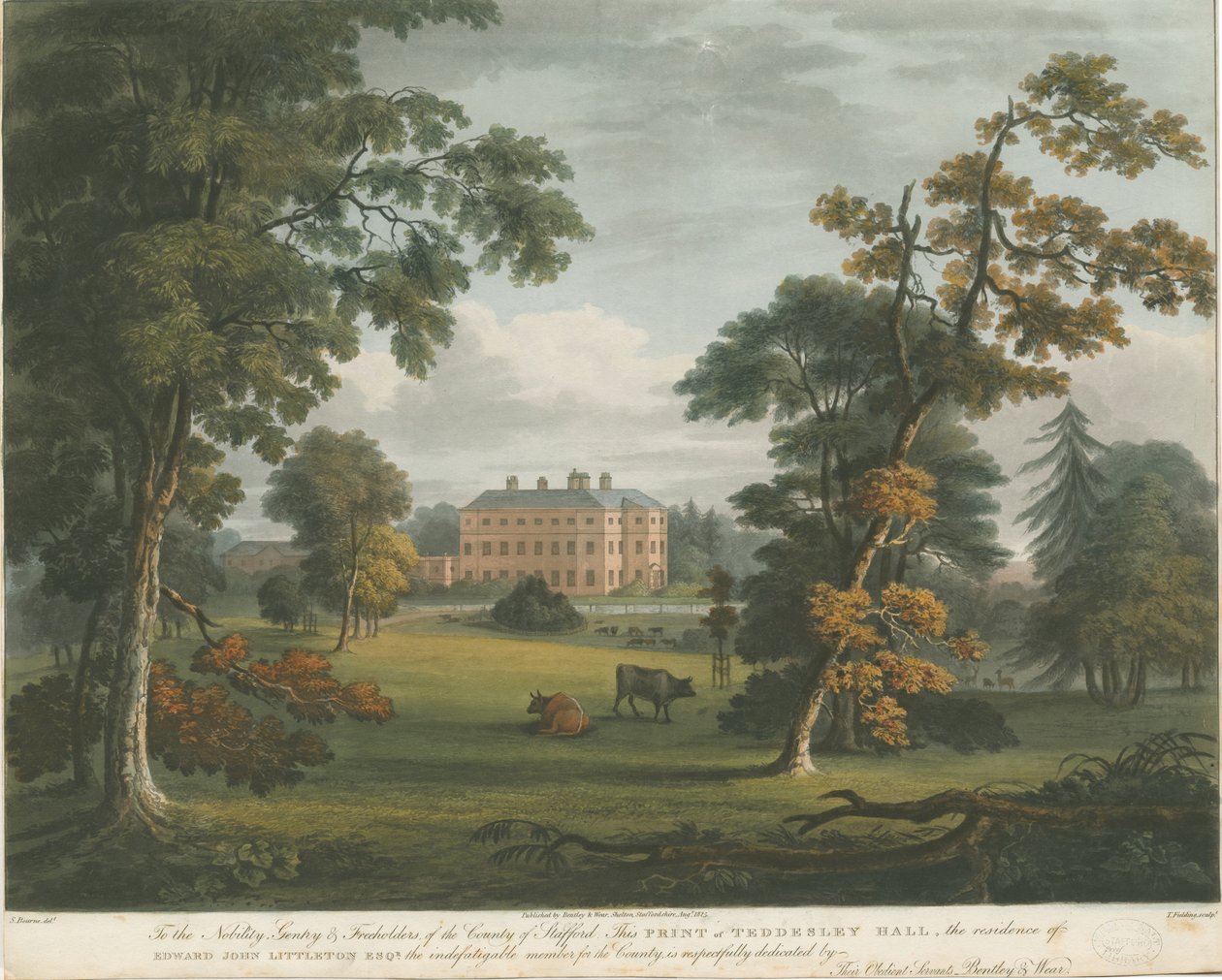 Teddesley Hall: renkli aquatint gravür, nd [c 1825] by Unbekannt