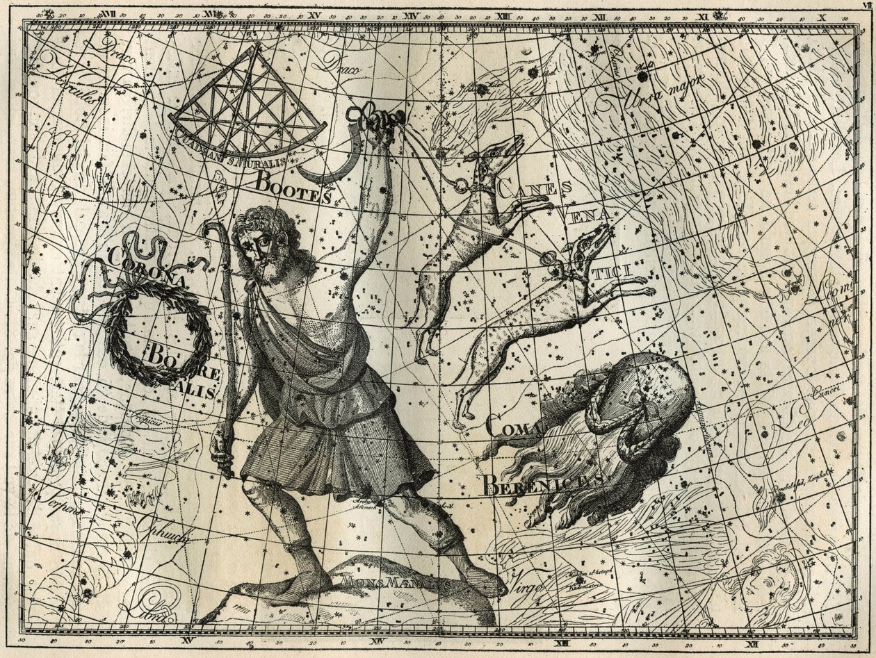 Bower, Boreal Crown, av köpekleri, Berenice