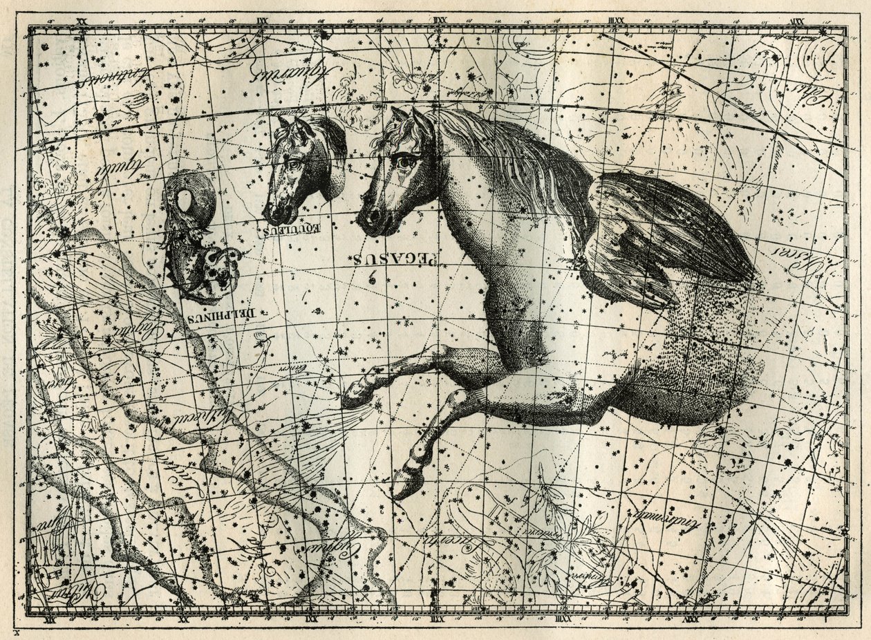Pegase takımyıldızı, bir çift kanatlı atın ön yarısı, Küçük At, bir atın başı ve Yunus gibi çizer. Camille Flammarion