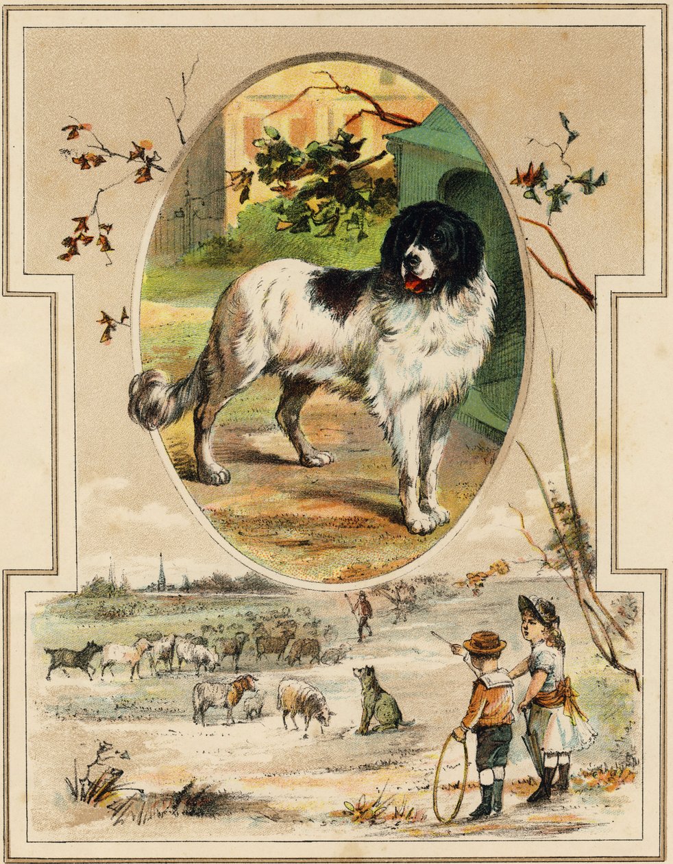 Köpek. "Mon premier Büyük Alfabesi"nde gravür. Bernardin-Bechet Edition, Paris, yaklaşık 1890. Çizimler, A. des Lilleuls. Sayfa yok, 46 sayfa. Karartma: 31x22cm . by Unbekannt