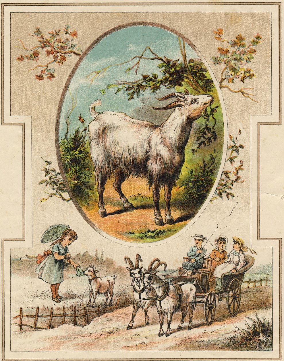 Keçi. "Mon premier Büyük Alfabesi"nde gravür. Bernardin-Bechet Edition, Paris, yaklaşık 1890. Çizimler, A. des Lilleuls. Sayfa yok, 46 sayfa. Karartma: 31x22cm . by Unbekannt