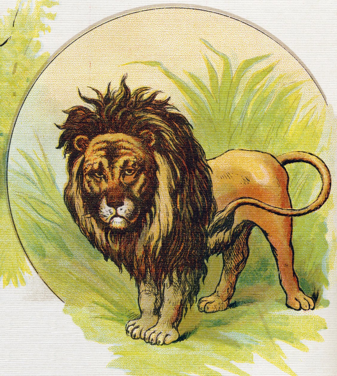 Aslan. "ABC L