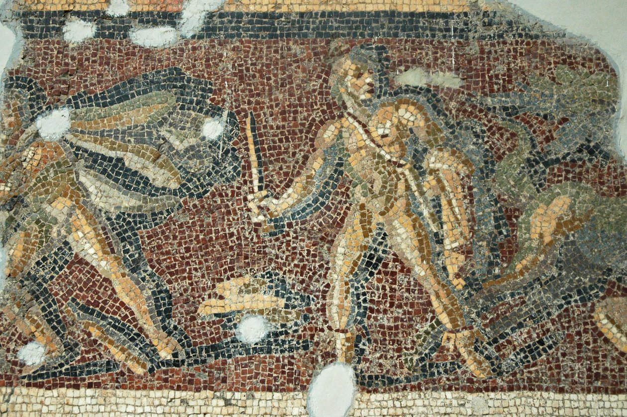 Daphne, Türkiye