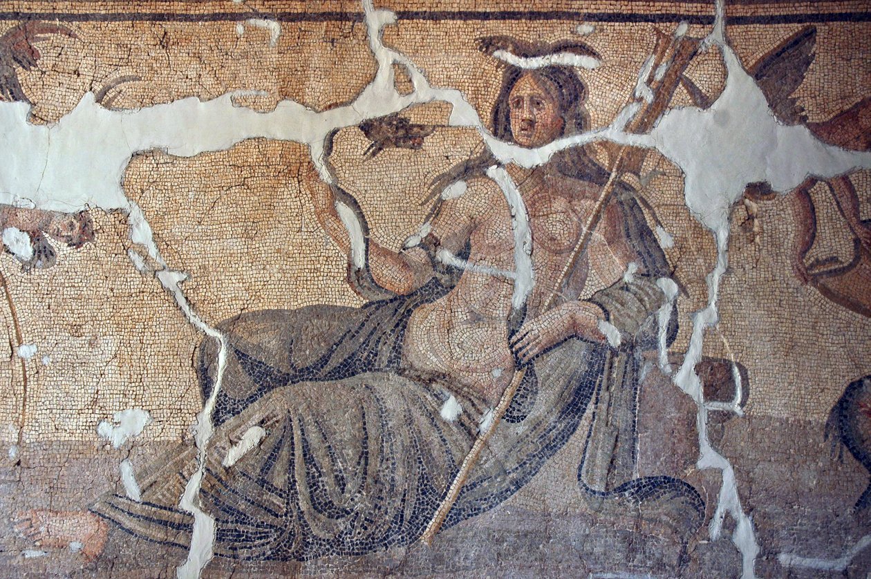Balık Mozaiği Arasında Thetis, İskenderum, Türkiye by Unbekannt