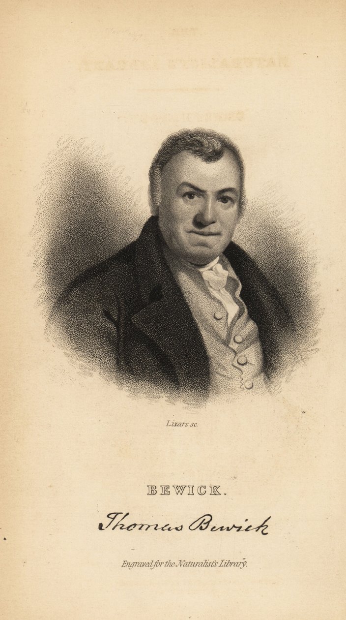 Thomas Bewick, İngiliz oymacı ve doğa tarihi yazarı by Unbekannt