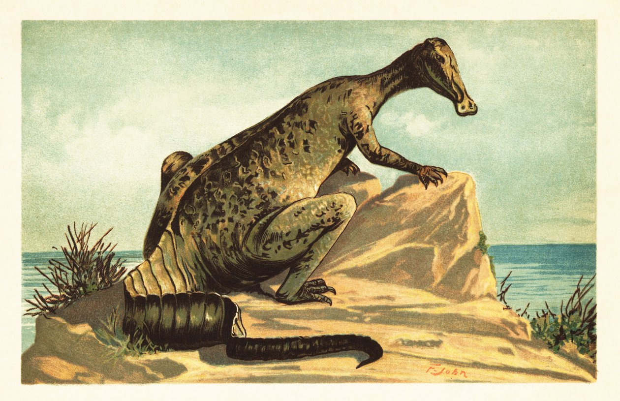 Trachodon mirabilis, soyu tükenmiş hadrosaurad dinozor.1908 (litografi) by Unbekannter Künstler